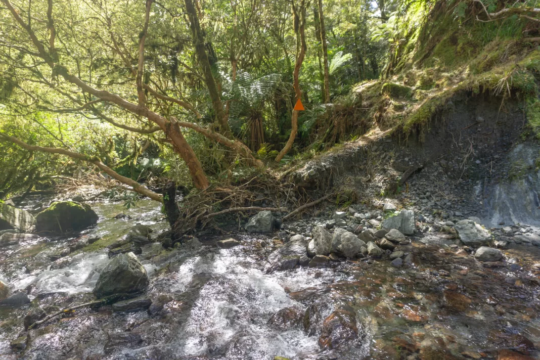 Stream crossing on the Haast to Paringa Cattle Track