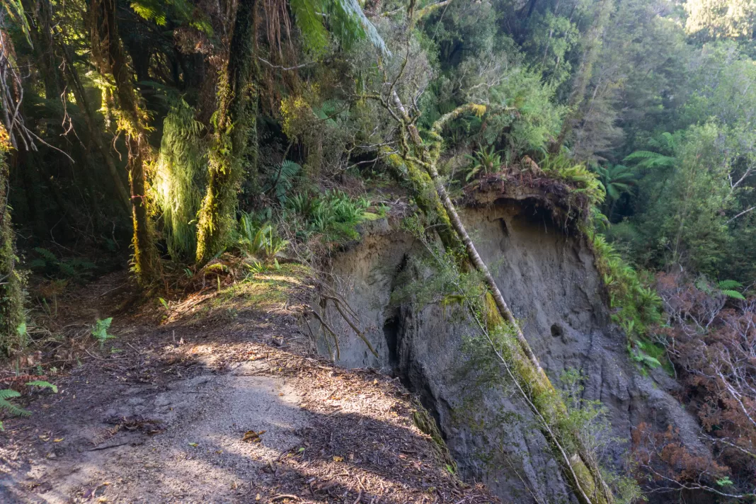 Slip on the track to Mataketake Hut