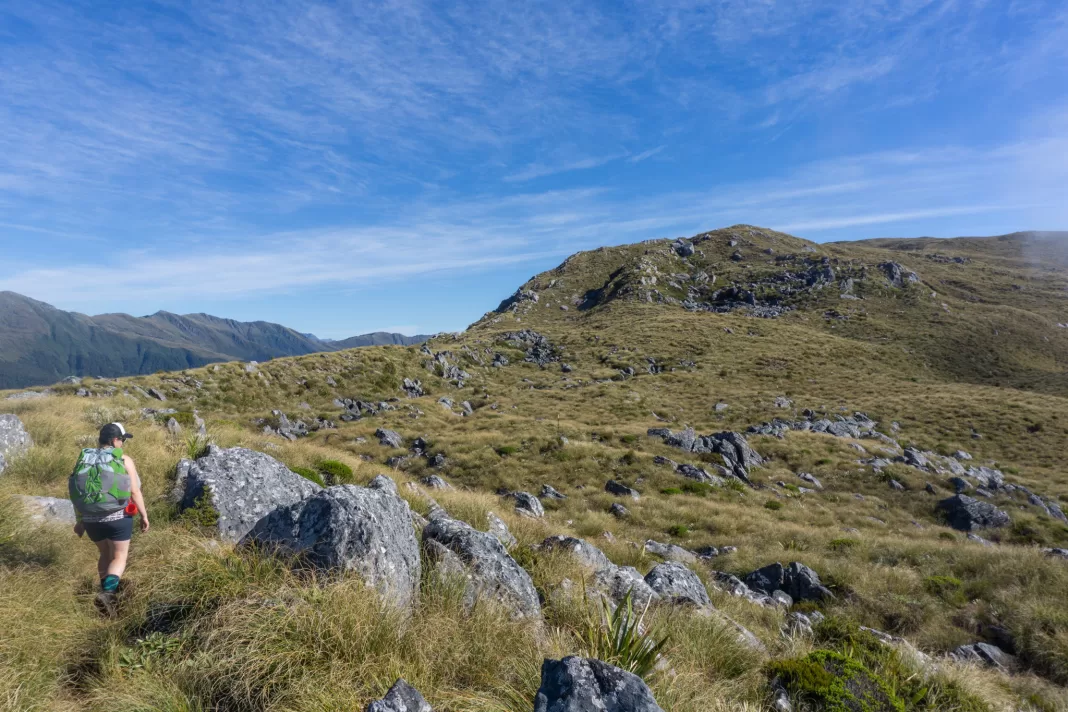 Tramper surveying the Mica Mine Tops Route to Mataketake Hut
