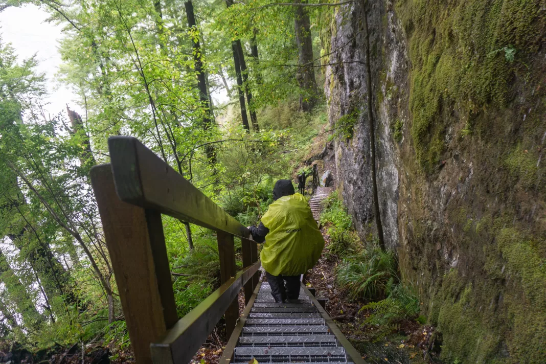 Woman walking down a steep staircase on the Rees Dart Track