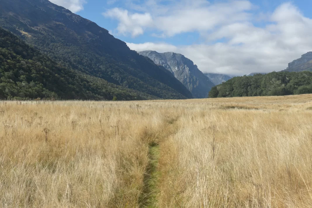 Dart Track going through Cattle Flat