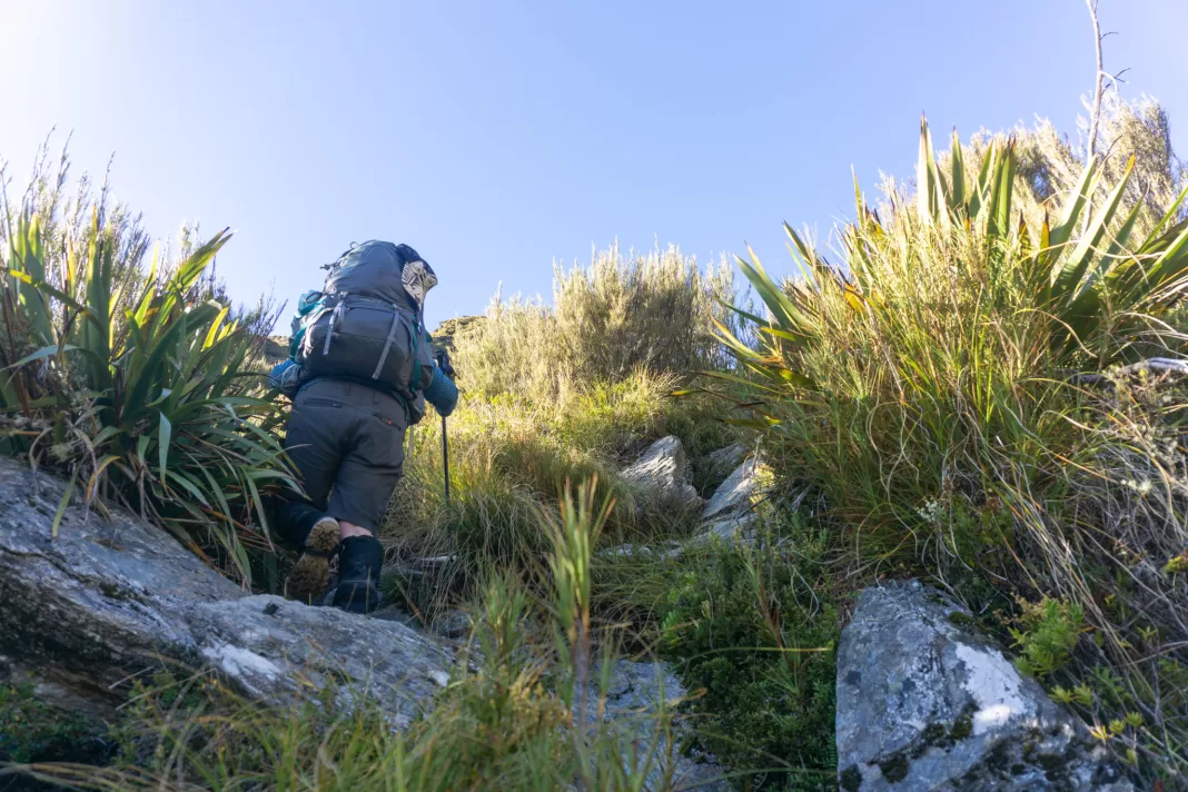 Tramper climbing up the Rees Dart Track