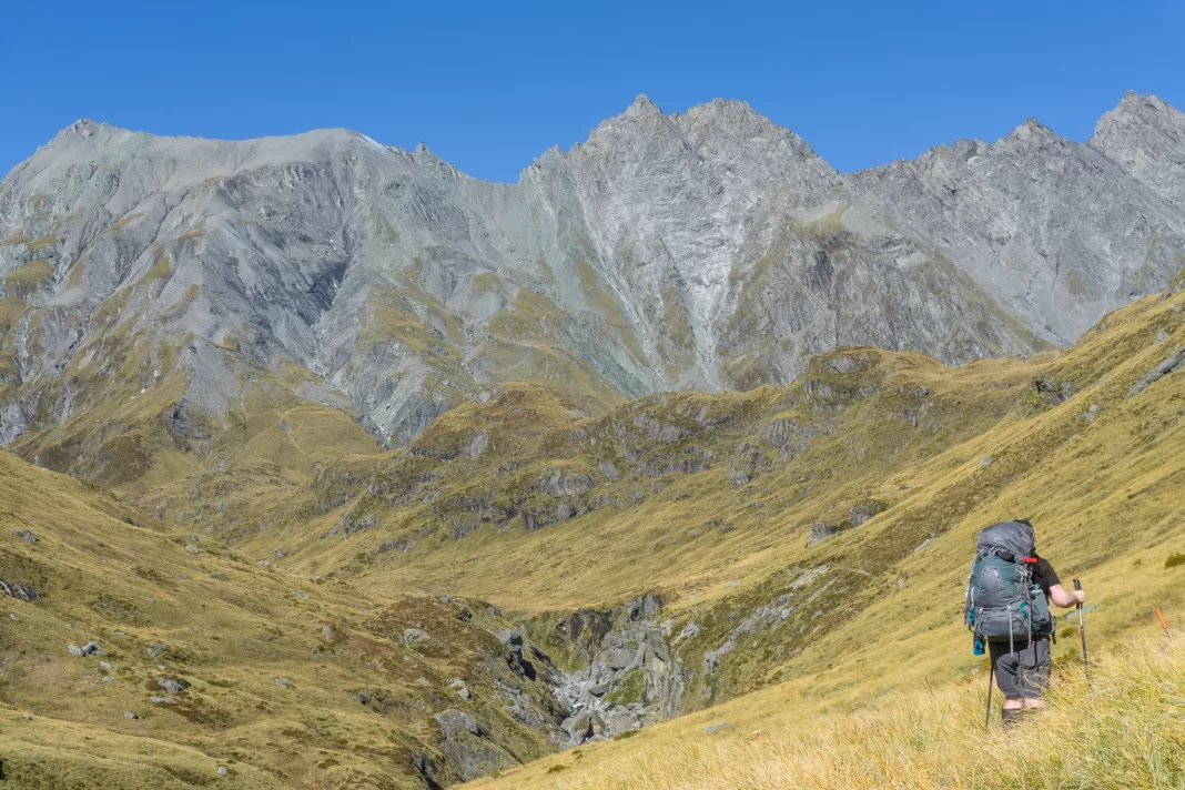 Woman climbing up tussocks towards Rees Saddle 