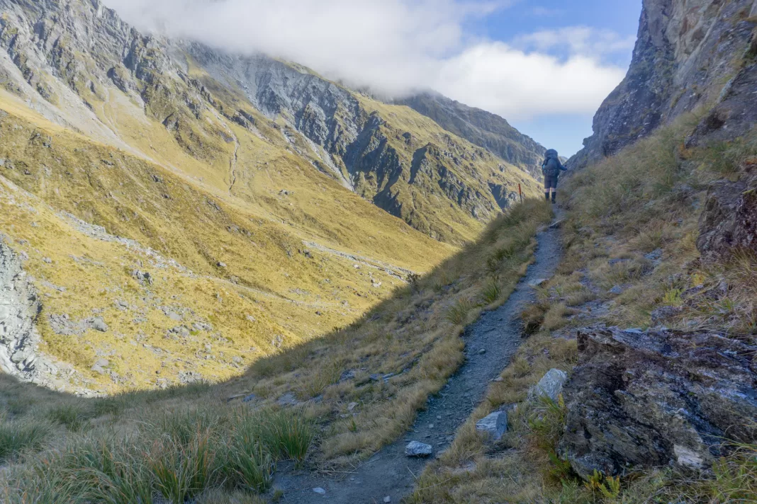 Tramper walking along the Rees Dart Track