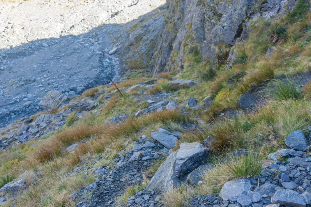Track steeply descending Rees Saddle towards the Rees Valley