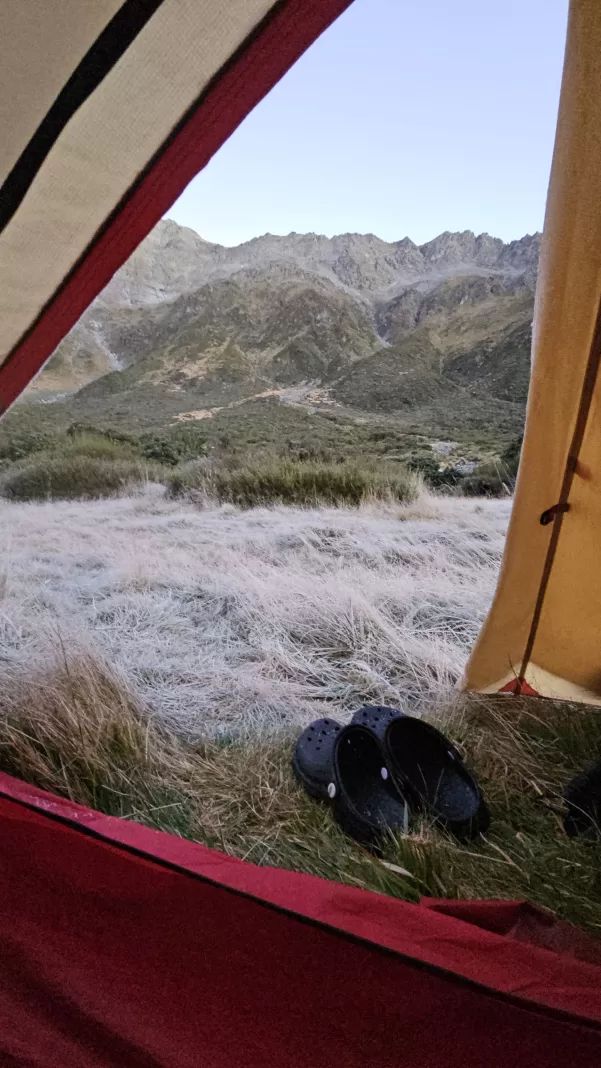 View of frozen tussocks from the inside of a tent